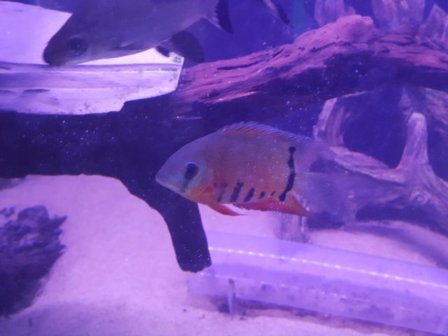 20160531_202012.jpg