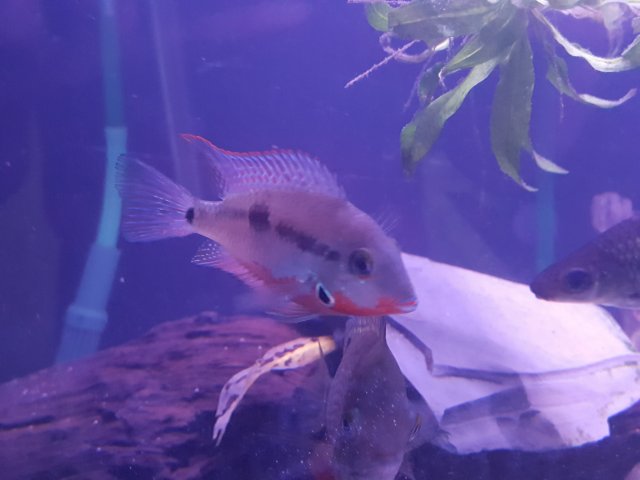 20160531_202015.jpg