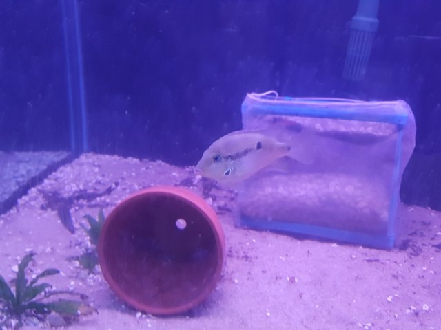 20160531_202043.jpg