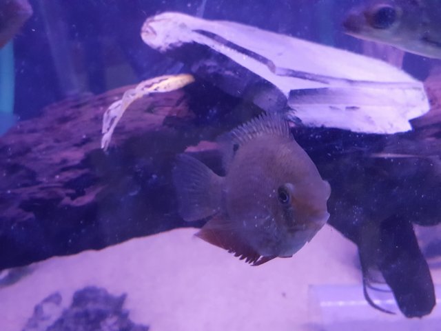 20160531_202102.jpg