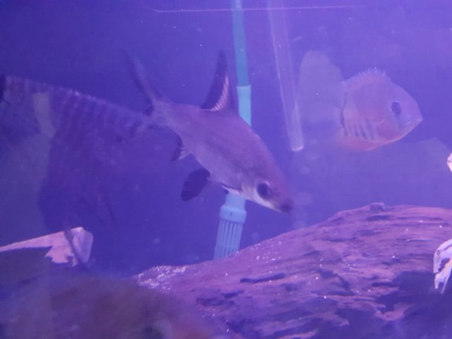 20160531_202111.jpg