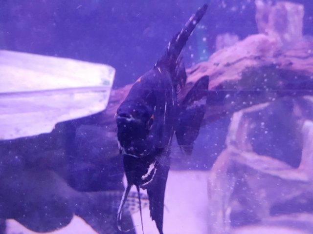 20160531_202052.jpg