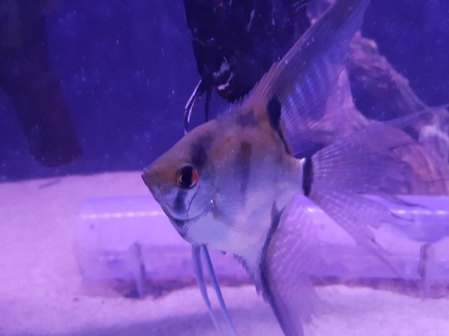 20160531_202143.jpg