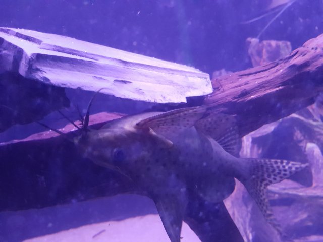 20160531_202124.jpg