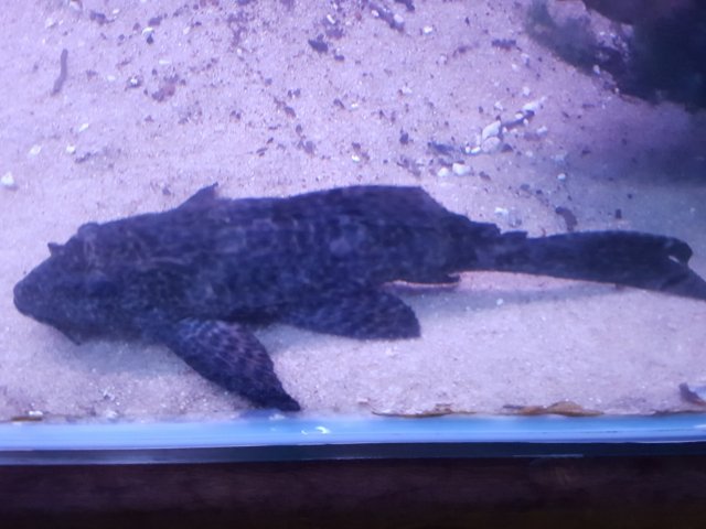 20160531_202334.jpg