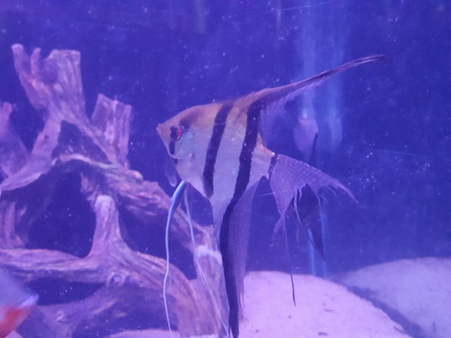 20160531_204115.jpg