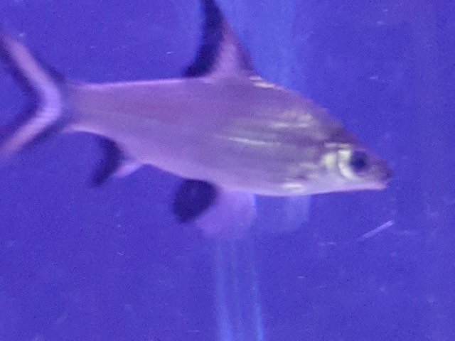20160531_204338.jpg