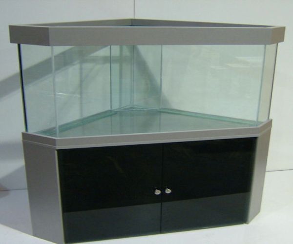 image.jpeg image.jpeg