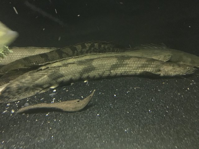 image.jpeg image.jpeg