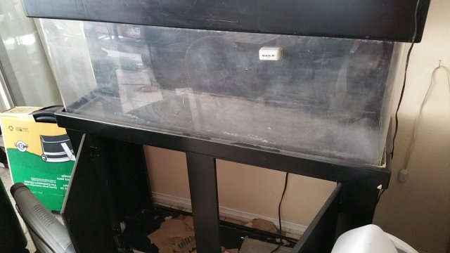 20160601_154619.jpg 20160601_154619.jpg