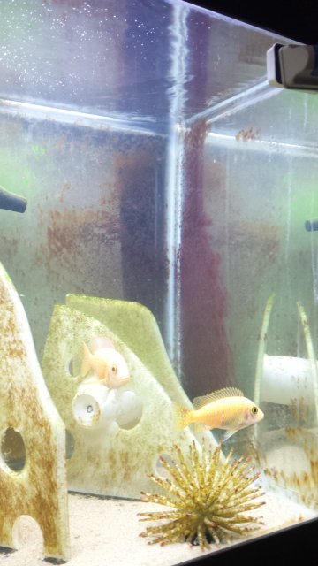 20160601_180155.jpg