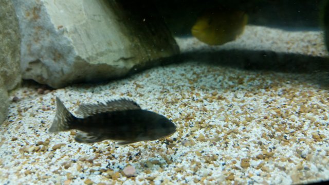 20160528_114618.jpg