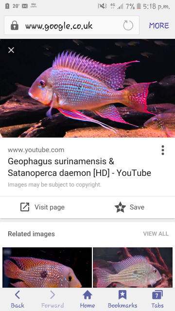 Screenshot_20160604-171828.png