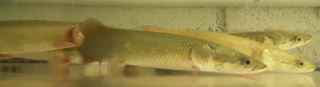 20160321_105206.jpg