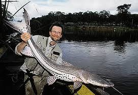 images-170.jpg