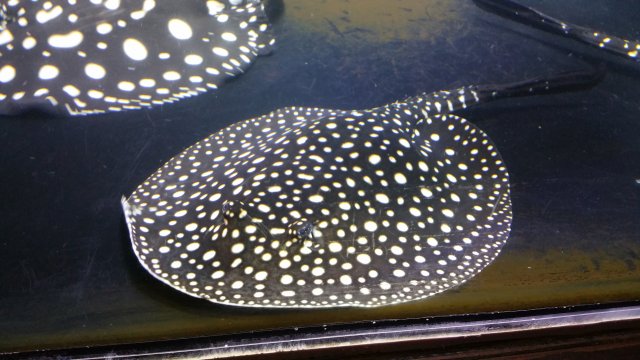 20160315_220414.jpg