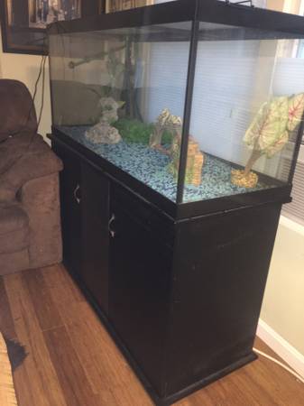 tank3.jpg tank3.jpg