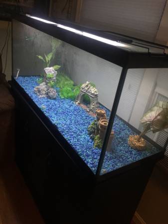 tank2.jpg