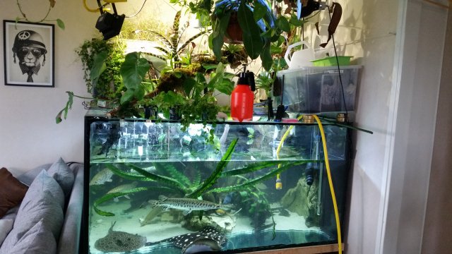 20160609_183241.jpg