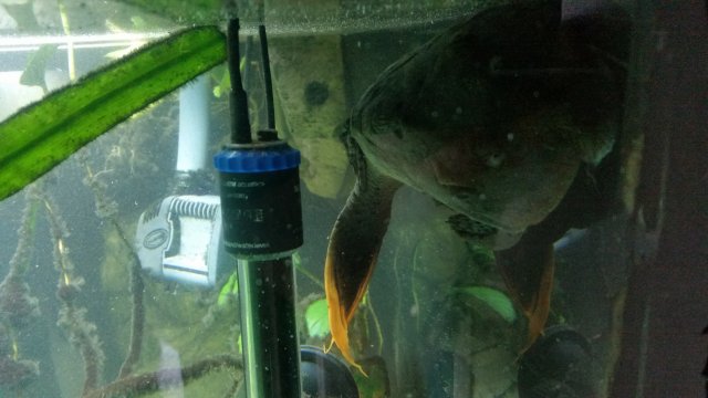 20160609_191734.jpg