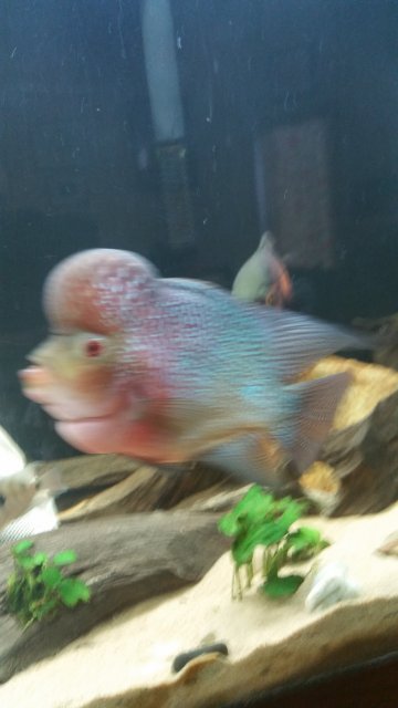 20160611_132851.jpg