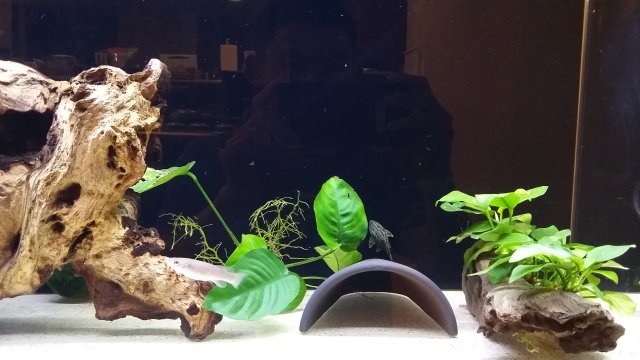 2016-06-05 18.23.51.jpg