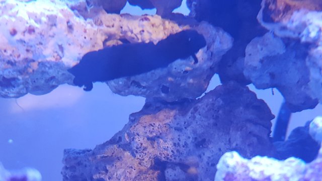 20160611_205820.jpg 20160611_205820.jpg