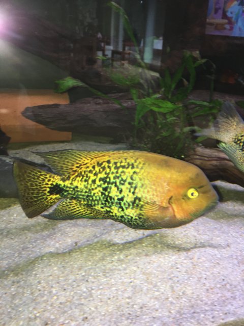 image.jpeg image.jpeg