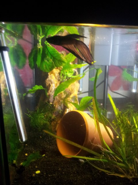 20160612_140112.jpg