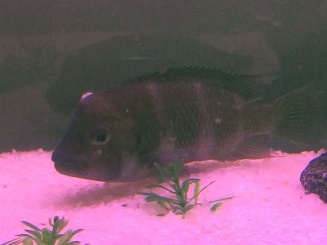 image.jpeg image.jpeg