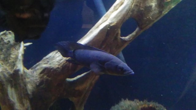 20160612_192302.jpg