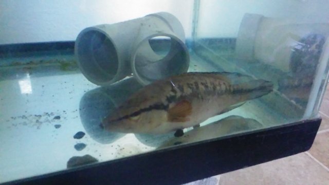 20160612_192647.jpg