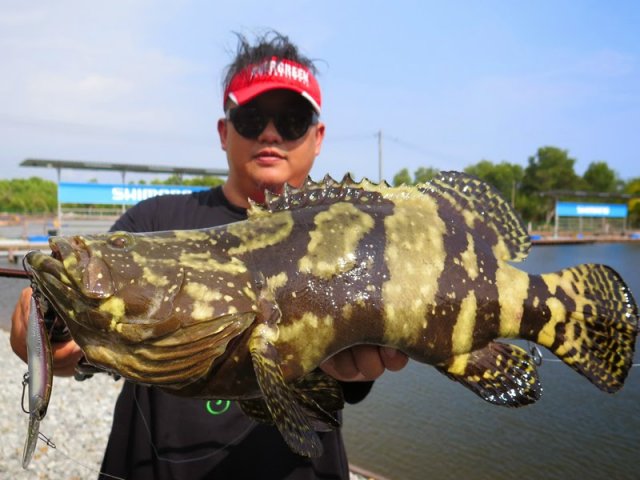 IMG_4860.jpg IMG_4860.jpg