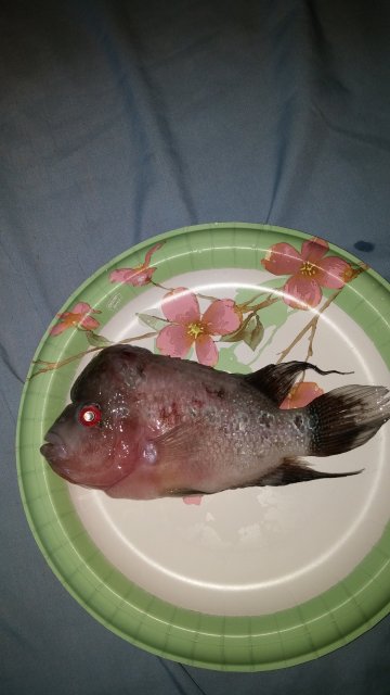 20160614_111434.jpg