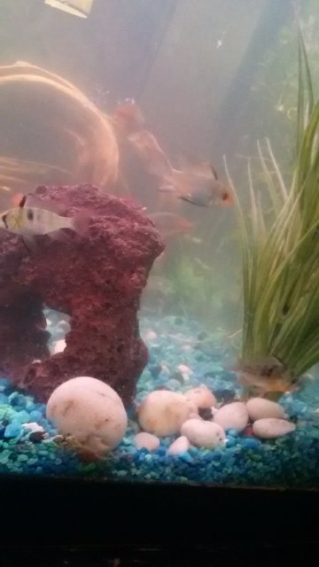 20160615_001120.jpg 20160615_001120.jpg