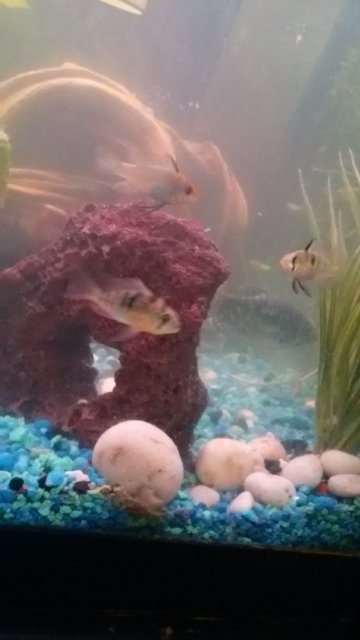 20160615_001110.jpg
