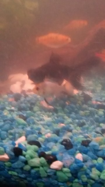 20160615_001129.jpg