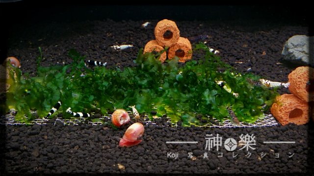 20160615_143007.jpg
