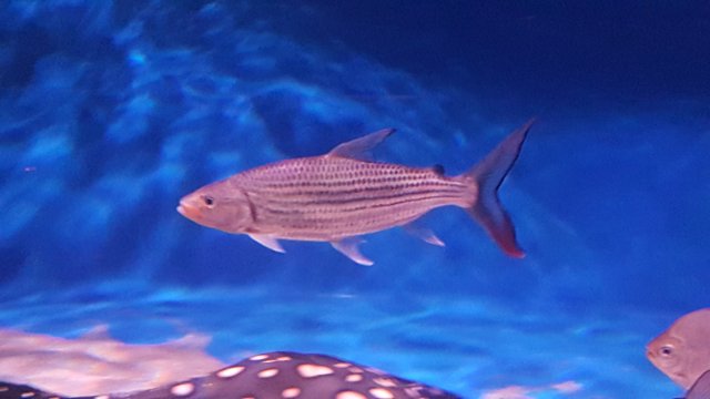 20160616_002729.jpg 20160616_002729.jpg