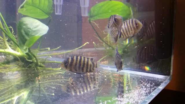 2016-06-15 17.59.11.jpg