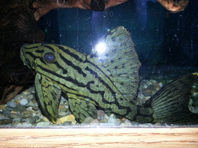 2014-01-26 16.04.15.jpg