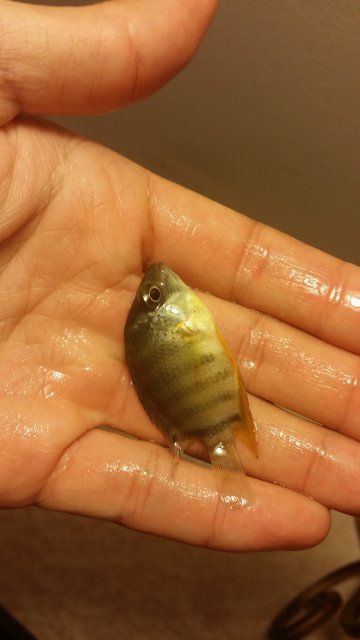 2016-06-15 20.05.54.jpg