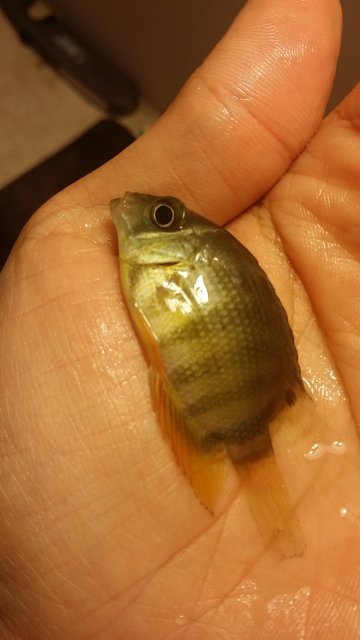 2016-06-15 20.07.01.jpg