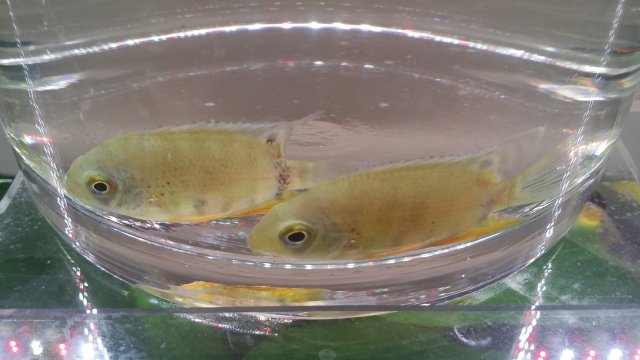 2016-06-15 20.31.22.jpg