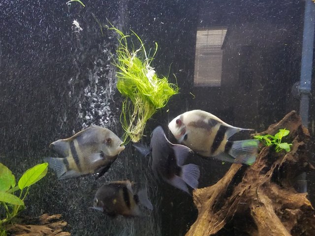 20160616_170603.jpg