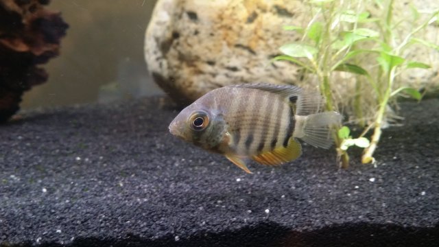 2016-06-16 20.25.07-1.jpg