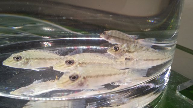 2016-06-15 19.28.03.jpg