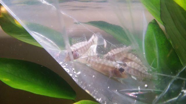 2016-06-15 20.02.01.jpg