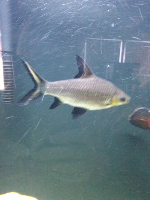IMG_20160531_143306.jpg