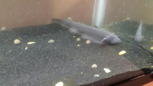 20160601_183627.jpeg 20160601_183627.jpeg